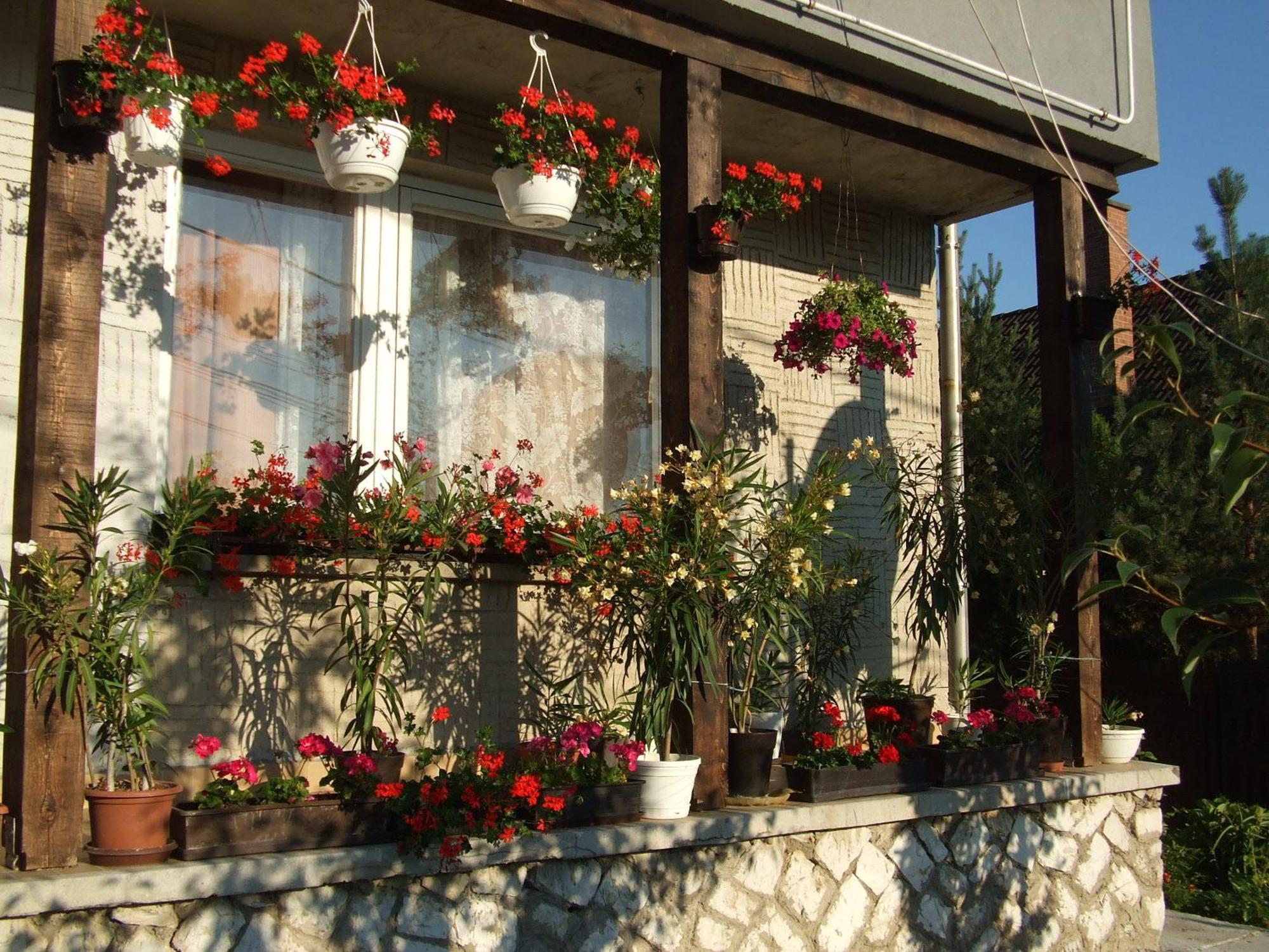 Napfeny Vendeghaz Apartment Miskolc Exterior photo